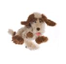 Tillmann der Hund