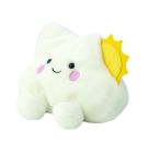 61543 PP SUMMER CLOUD (1)