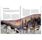 Das große Buch vom Tannenbaum