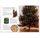 Das große Buch vom Tannenbaum