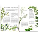 Das große Buch vom Tannenbaum