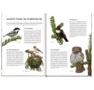 Das große Buch vom Tannenbaum