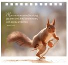 Einfach gute Wünsche