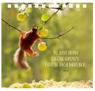 Einfach gute Wünsche