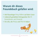 Freundebuch – Meine Kindergarten-Freunde - mit Ponymähne