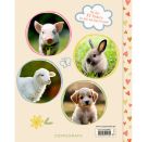 Freundebuch – Alle meine Freunde - mit über 100 Stickern - Tierkinder