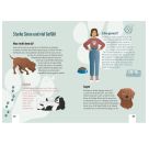 Die drei !!! Sachwissen Gefahr in der Hundeschule