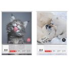 Malblock A4 100Bl Zeichenpapi