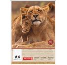 Zeichenblock A4 Tiere 20Bl