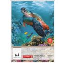 Zeichenblock A4 Tiere 20Bl