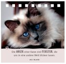 Das Glück kommt auf Samtpfoten