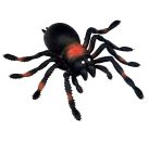 Kellerspinne