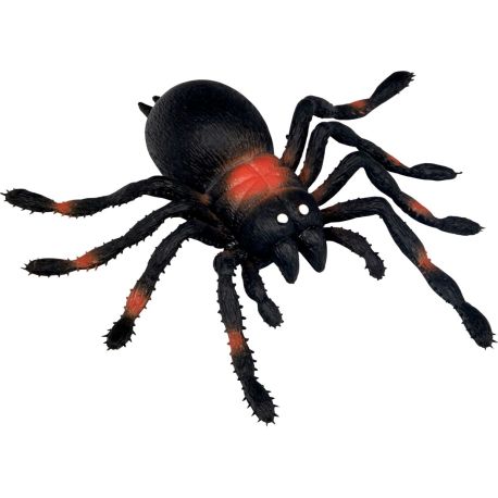 Kellerspinne