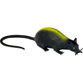 Kanalratte