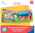 Wo seid ihr, kleine Kätzchen?