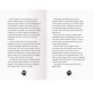 3 Streuner wittern d.Abent.