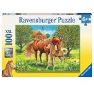 Ravensburger 10577 Puzzle Pferdeglück auf der Wiese 100 Teile XXL
