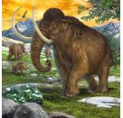 Ravensburger 9358 Puzzle Herrscher der Urzeit 3 X 49 Teile