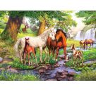 Ravensburger 12904 Puzzle Wildpferde am Fluss 300 Teile