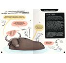 Tierisch tolle Freunde - Das etwas andere Sachbuch zum Thema Tiere für Kinder ab 7 Jahre