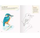 Ravensburger Mein großes Natur-Malbuch - heimische Waldtiere, Meerestiere, Vögel und Pflanzen zum Ausmalen und spannen