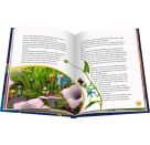 Die Biene Maja: Mein schönster Geschichtenschatz, Vorlesebuch für Kinder ab 4 Jahre