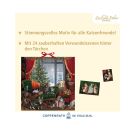 Katzen am Fenster, Wand-Adventskalender (Behr)