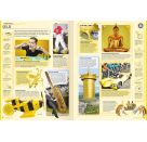 GUINNESS WORLD RECORDS 2026: Das beliebte Rekorde-Buch für Kinder und Erwachsene, Kinderbuch ab 8 Jahre und tolle Gesc