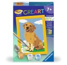 Ravensburger CreArt 28511 - Kleiner Golden Retriever - Malen nach Zahlen Hund für Kinder ab 7 Jahre