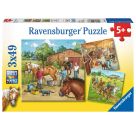 Ravensburger 9237 Puzzle Mein Reiterhof 3 X 49 Teile