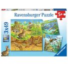 Ravensburger 8050 Puzzle Tiere in ihren Lebensräumen 3 X 49 Teile