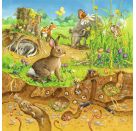 Ravensburger 8050 Puzzle Tiere in ihren Lebensräumen 3 X 49 Teile