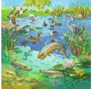 Ravensburger 8050 Puzzle Tiere in ihren Lebensräumen 3 X 49 Teile