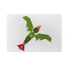 Hämmerchenspiel Pflanzen & Lebewesen