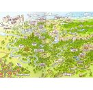 Unterholz-Ninjas, Band 2: Die Hüter des Himmelssteins - tierisch witziges Kinderbuch ab 8 Jahre über mutige Waldtiere