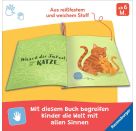 Mein Knuddel-Knautsch-Buch: Seif dich ein, sagt das Schwein, weiches Stoffbuch, waschbares Badebuch, Babyspielzeug ab