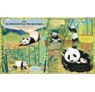 Durch das Jahr mit der Natur - eine spannende Reise durch die Jahreszeiten zu Tieren und Pflanzen rund um den Globus