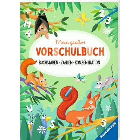 Mein großes Vorschulbuch: Buchstaben Zahlen Konzentration