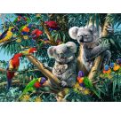 Koalas im Baum