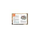 Die drei ??? Kids Sachwissen Raub auf der Ritterburg