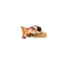 DNO Jurassic Interactiv Dino - grün