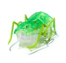 Hex Bots Micro Ant, sortiert