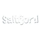 Saltfjord