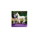 Unicorn Academy Fashion Dall - Layla