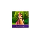 Unicorn Academy Fashion Unicorn - Cinder