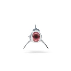 Megalodon