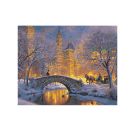 Malen nach Zahlen - Stille Nacht im Central Park