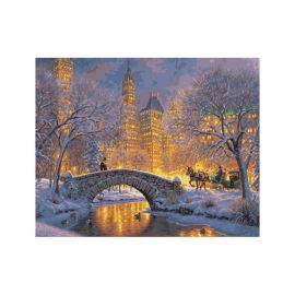Malen nach Zahlen - Stille Nacht im Central Park