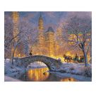 Malen nach Zahlen - Stille Nacht im Central Park
