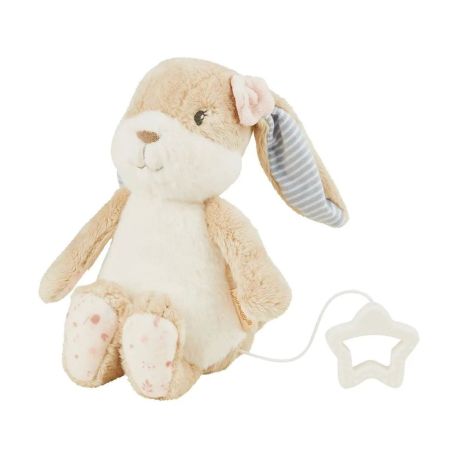 Sterntaler Spieluhr M Hanni